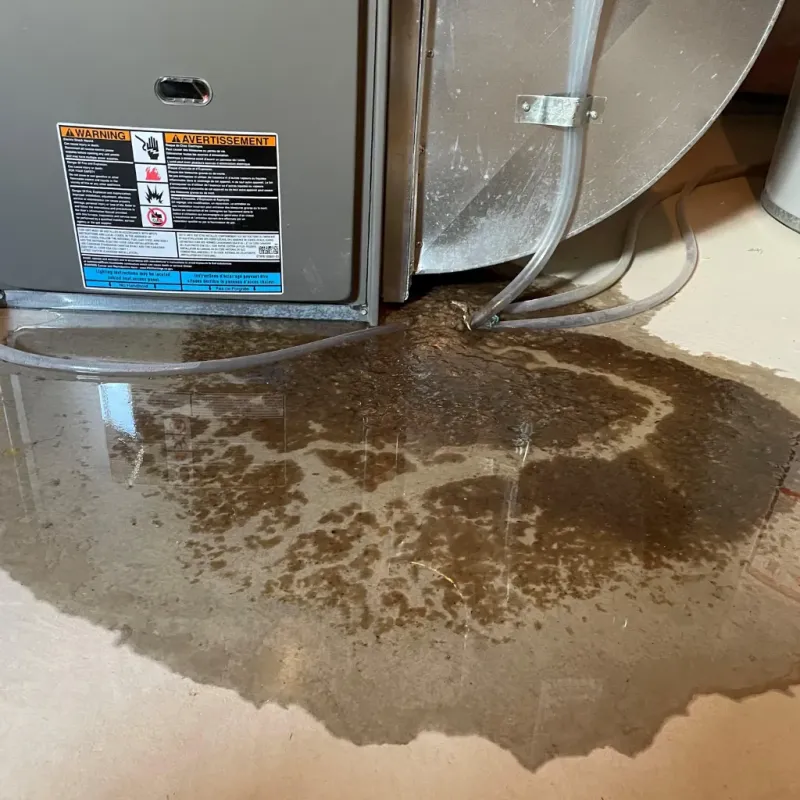 Appliance Leak Cleanup in George, IA